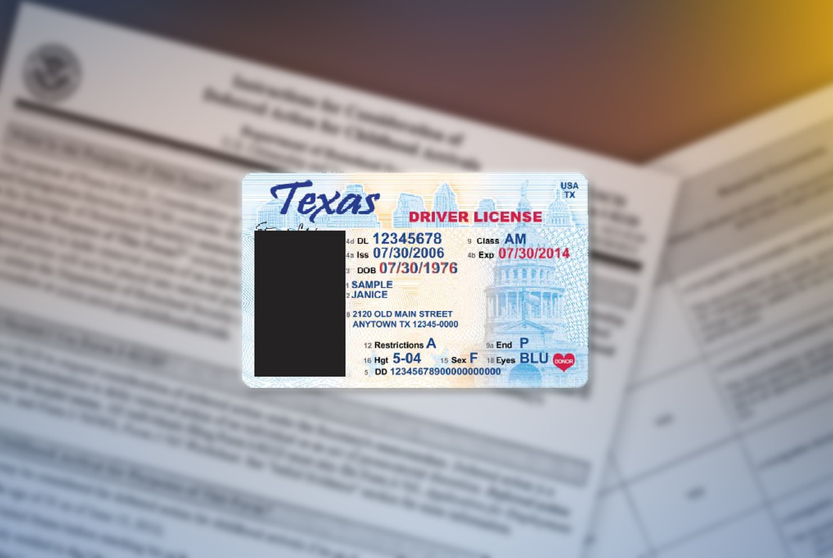 application for driver license texas